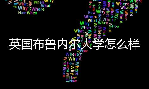 英国布鲁内尔大学怎么样？