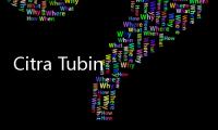 Citra Tubindo (CTBN) Guyur Dividen Rp530 per Saham, Hampir 100% Laba