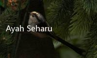 Ayah Seharusnya Jadi Pembuat Aturan untuk Anak