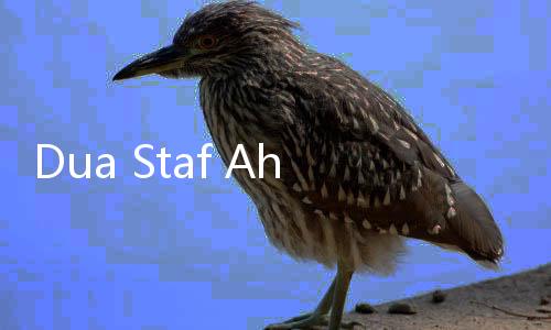 Dua Staf Ahli Menteri Lukman Bakal Diperiksa KPK