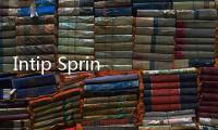 Intip Springhill Yume Lagoon, Hunian Strategis dan Asri di Serpong
