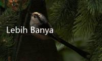 Lebih Banyak Dokter Kandungan Pria Daripada Wanita, Benarkah?