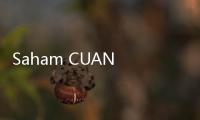 Saham CUAN Melesat Usai Umumkan Rencana Stock Split 1:10!