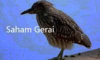 Saham Gerai Ayam Ini Loncat hingga 114 Persen, BEI Imbau Investor Waspada
