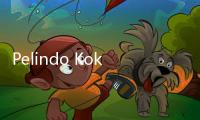 Pelindo Kokoh Pertahankan Peringkat idAAA
