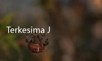 Terkesima Jejak