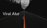 Viral Alur Barang Bawaan ke LN, Ini Daftar Barang yang Dilaporkan